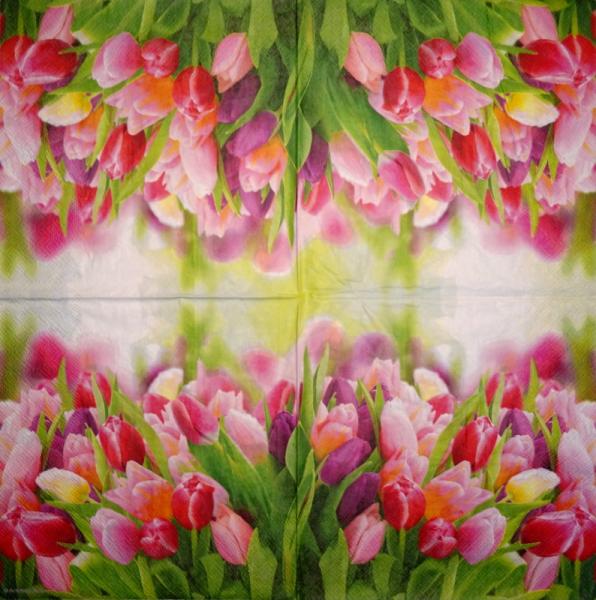 118 Tulips - 3-ply - Ambiente